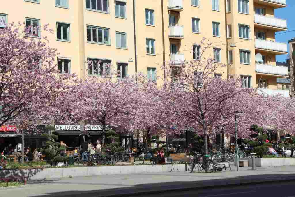 Störiga grannar bostadsrätt, anmälan och varningar