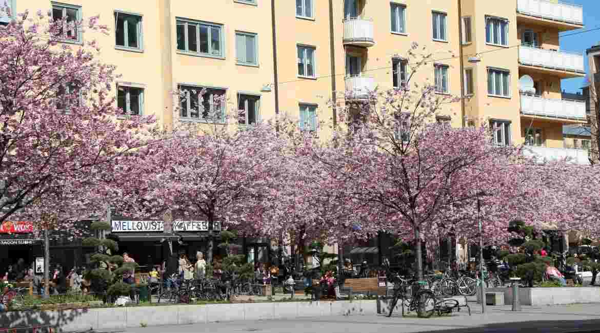Störiga grannar bostadsrätt, anmälan och varningar Störiga grannar bostadsrätt, anmälan och varningar