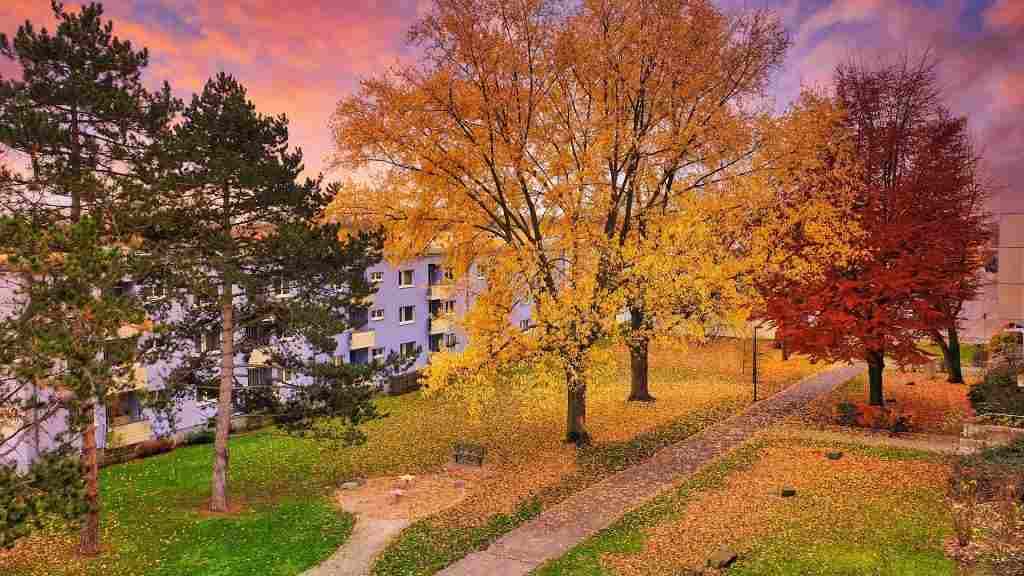 Advokat bostadsrätt