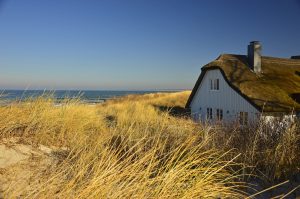 Ersättning vid expropriation